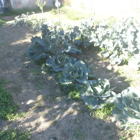 Apartamento Kastri *