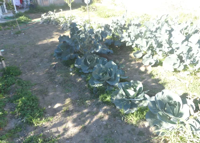 Apartamento Kastri *